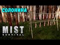 СОЛОНИНА И ПЛАНЫ НА БУДУЩЕЕ | Mist Survival #24