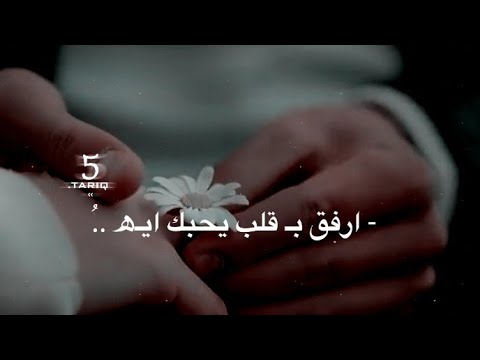 تصاميم شيلات قصيرة تصميم ستوريات انستقرام شيلات حب حالات واتس