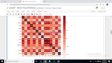 Machine Learning using Python - Project assignment for Skyfi Labs Online Course - by Mansurali A