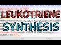 Biochemistry help leukotrienes synthesis
