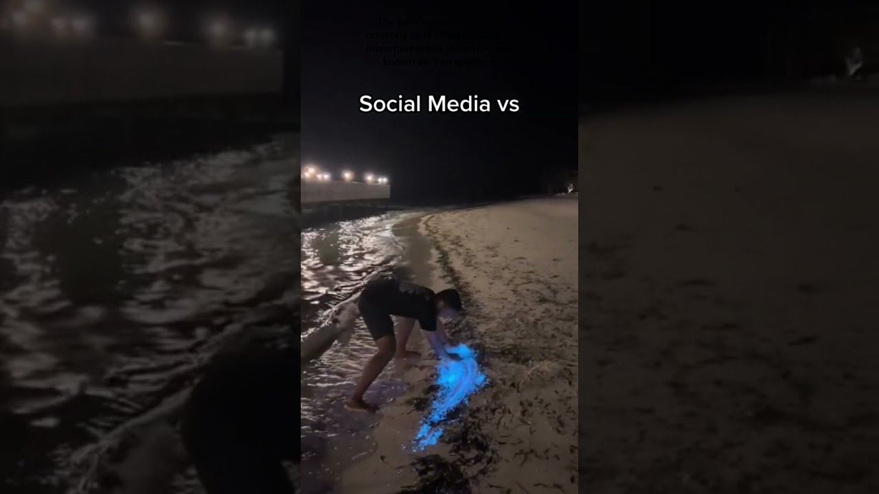 Instagram vs Reality: Bioluminescent Plankton | Beyond the Filter |Travel Guide