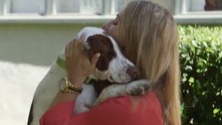 Rehoming a Stubborn Shelter Dog | Lucky Dog