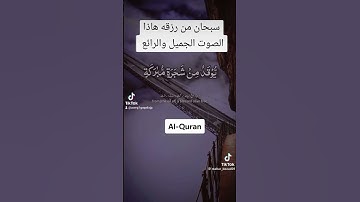 رسائل من القرآن الكريم.... تلاوات من القرآن..