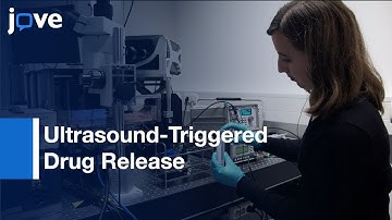 Multi-Timescale Microscopy: Characterization-Fluorescently-Labeled Microbubbles l Protocol Preview
