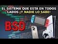 ¿Que pasó con BSD? El Sistema Operativo OLVIDADO