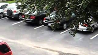 My Apartment in Florida - DCP 2010