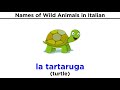 Italian Animal Gender and Vocabulary