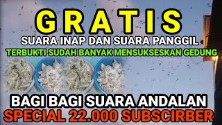 saya kasih gratis suara terbaik saya untuk teman teman.