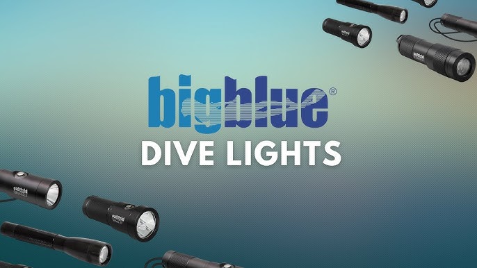 Rig mand hende spænding BigBlue Video Light & Dive Torch, review by Kevin Cook, SCUBA.co.za -  YouTube