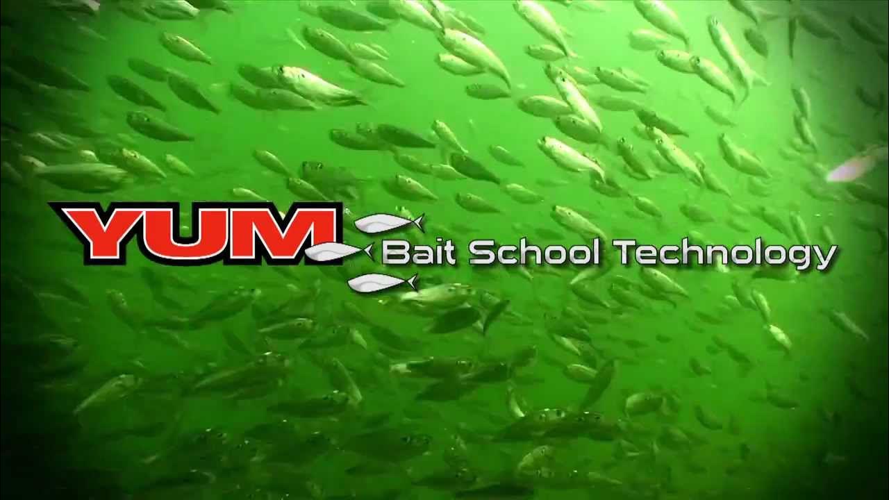 YUM Bait School Technology umbrella rig options 