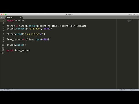 Socket Programming in Python: Client, Server, and Peer Examples ...