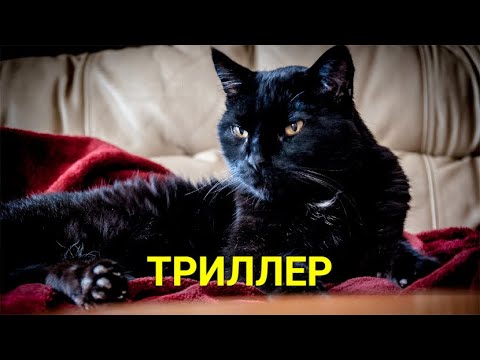 Комната Для Гостей | Лучшие Фильмы