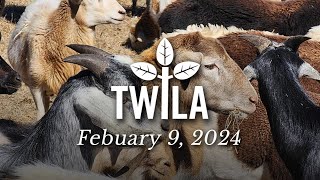 TWILA—February 9, 2024