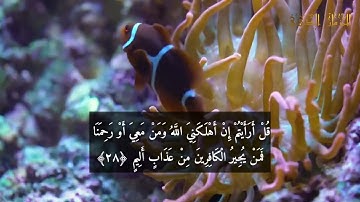 Surat Al-Molk -Hicham Lharraz HD ( N 67 رقمها )   سورة الملك مكتوبة للقارئ هشام الهراز