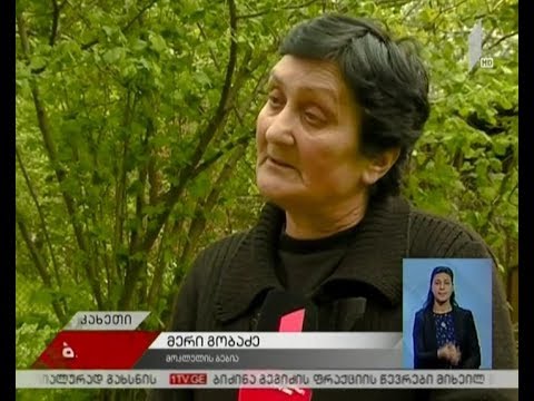 პროკურატურა ვეფხია ბაქრაძისთვის პატიმრობის გამოყენებას ითხოვს