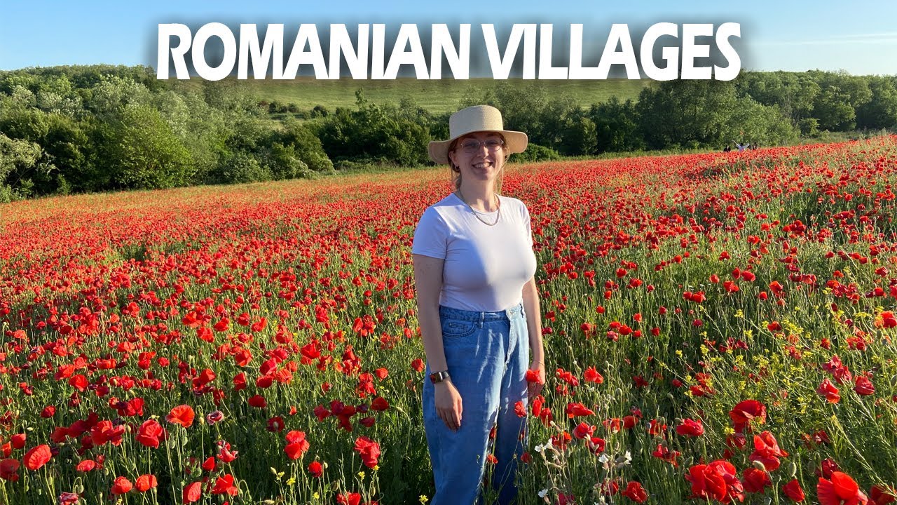 Life in Romania! Sagu and Timisoara