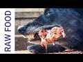 Feeding RAW Food to Dogs - Food Aggression Talk Feeding RAW Food to Dogs - Food Aggression Talk