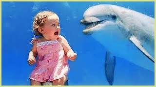 Funniest Baby Videos of the Week - Try Not To Laugh