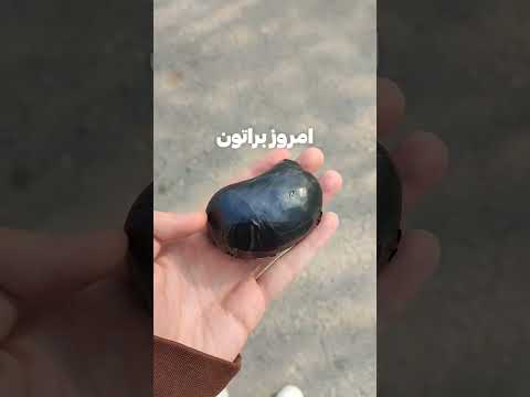 تصویری: موبر - چقدر پول است؟ تاریخچه ظهور و معنای اصطلاحات تخصصی