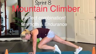 Sprint 8 - Mountain Climber Challenge P10 (w082021)
