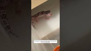 This Family Found A Strange Egg In Their Garden And This Happened