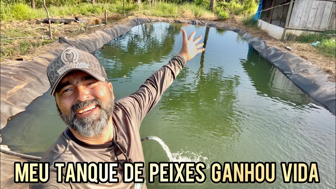 UM PARAÍSO NO SÍTIO : TANQUE DE PEIXES FINALIZADO COM A GEO MEMBRANA