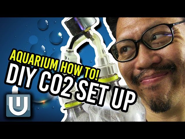 DIY Co2 for your Aquarium - How To