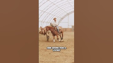 Empowering Fearlessness in a Young Horse: Overcoming Boundaries and Building Trust Watch more of the