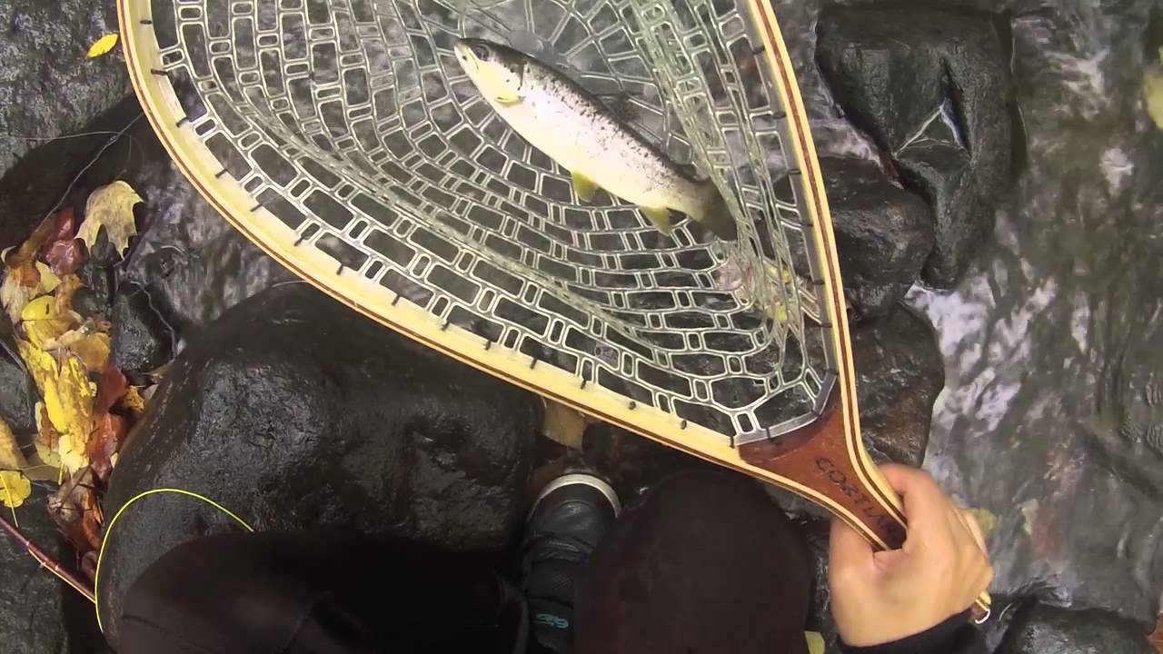 Fly Fishing New Jersey, Catching Big Fish in the Rain YouTube