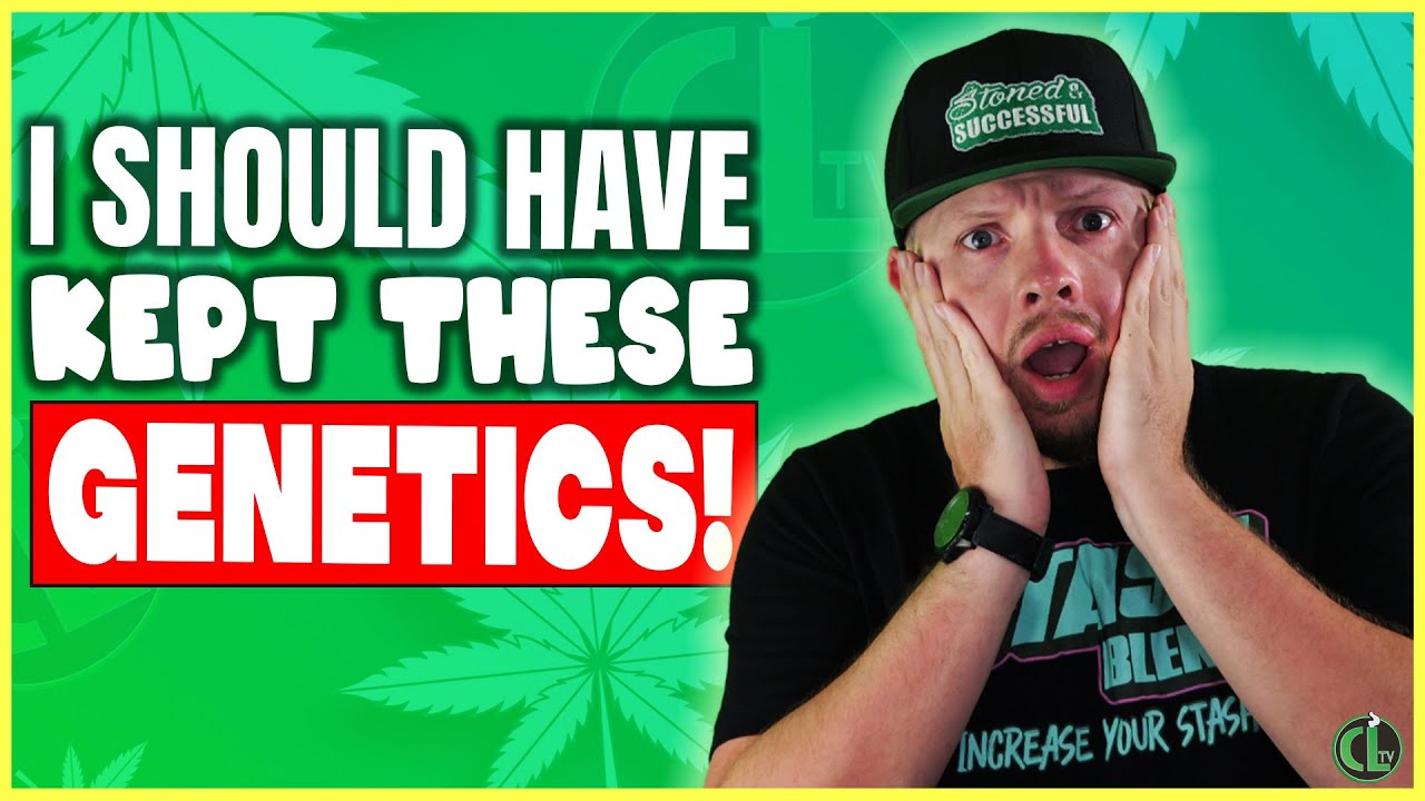 I REGRET Losing These Genetics!