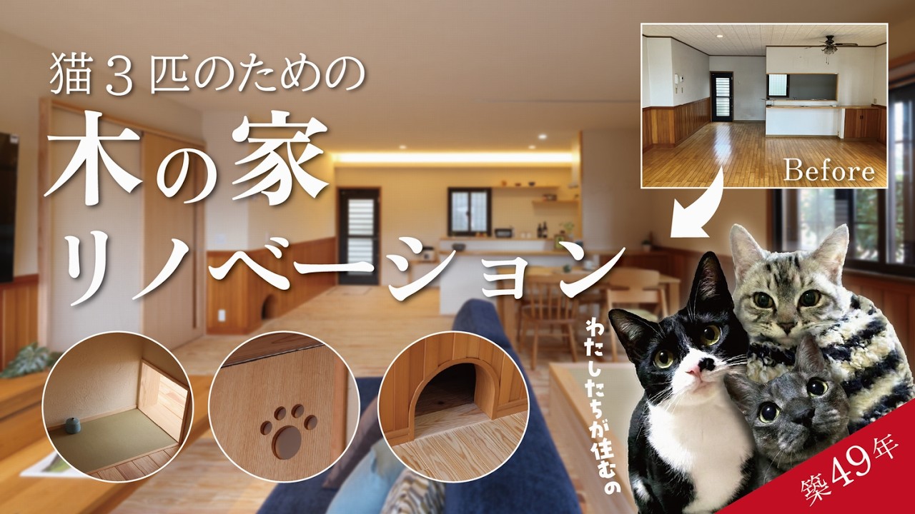 【ルームツアー】築49年の家を木の家リノベーション！猫と暮らす遊び心ある家｜安成工務店