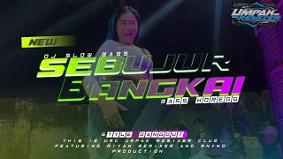 DJ SEBUJUR BANGKAI || STYLE DANGDUT SLOW BASS(RIYAN RMX)