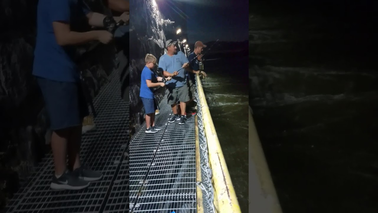 York Haven catwalk Caught a Catfish YouTube