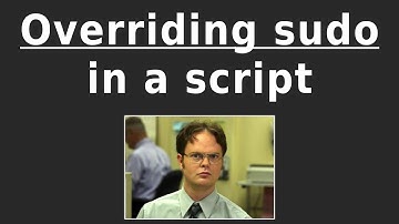 Ignore Sudo in a Shell Script If You