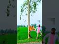 😮unreal vfx video wow 😮 #viral #animalattack #funny #vfxshorts #videoediting #trending #shortvideo
