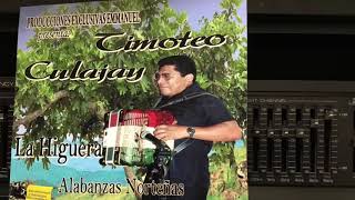Timoteo Culajay :  A Este Mundo No Vuelvo Yo