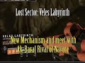 New Mechanism Lost Sector Veles Labyrinth