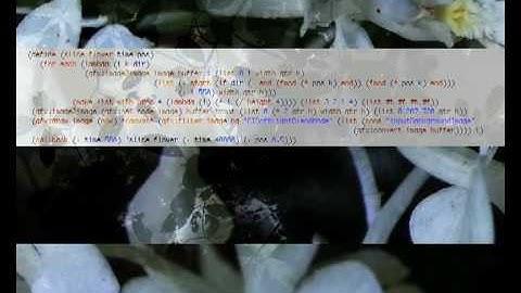 slice-flower: a computational visual art work by aa-cell