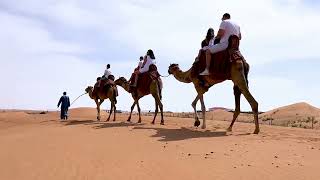 Dubai Camel Ride In The Desert, Early Morning As Was Very Very Hot.