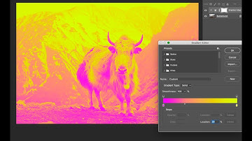 04 - Duotone effect with Gradient Map Adjustment Layer