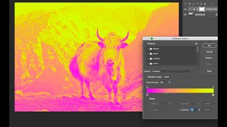 Famous 04 - Duotone effect with Gradient Map Adjustment Layer Profile