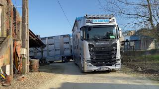 Essai camion Scania 730 S bétaillère Irma