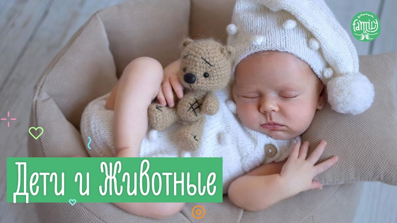 ⁣Домашние Животные и Дети в Квартире | 5 правил для Родителей | Family is...