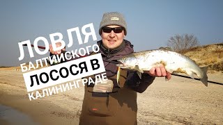 :     .  . Lasisa. Ѹ.. Salmonfishing.