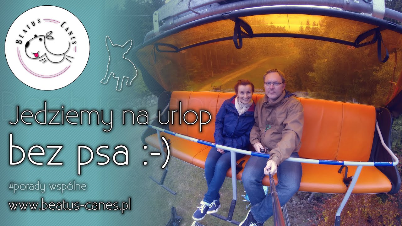 Jedziemy na urlop bez psa YouTube