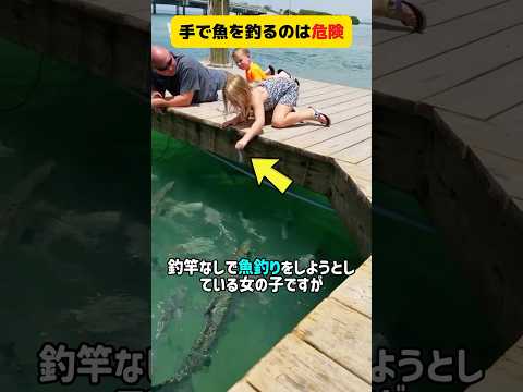 釣竿なしの釣りは本当に危険 Shorts