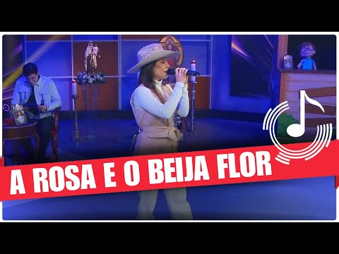 A rosa e o beija flor - Programa REDEVIDA Evangeliza