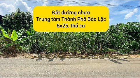 Đất Bảo Lộc/6x25/ giá 1tỷ650#datbaoloc #batdongsan #datdalat