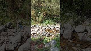 Gardaş Bu Dunyadan Gittin Gideli