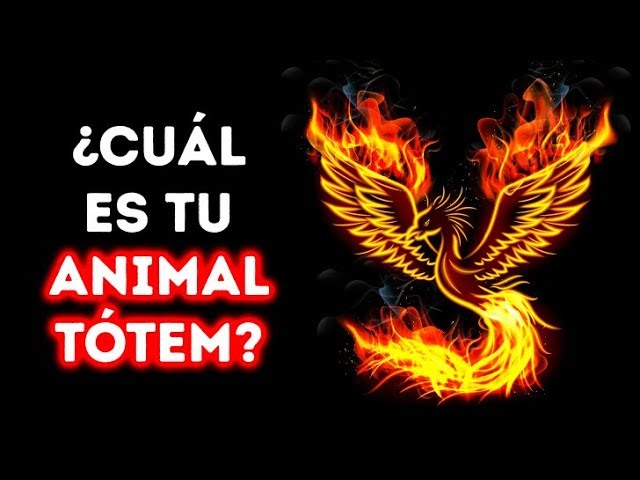 Cómo Saber Cuál Es Tu Animal Espiritual: Guía Definitiva